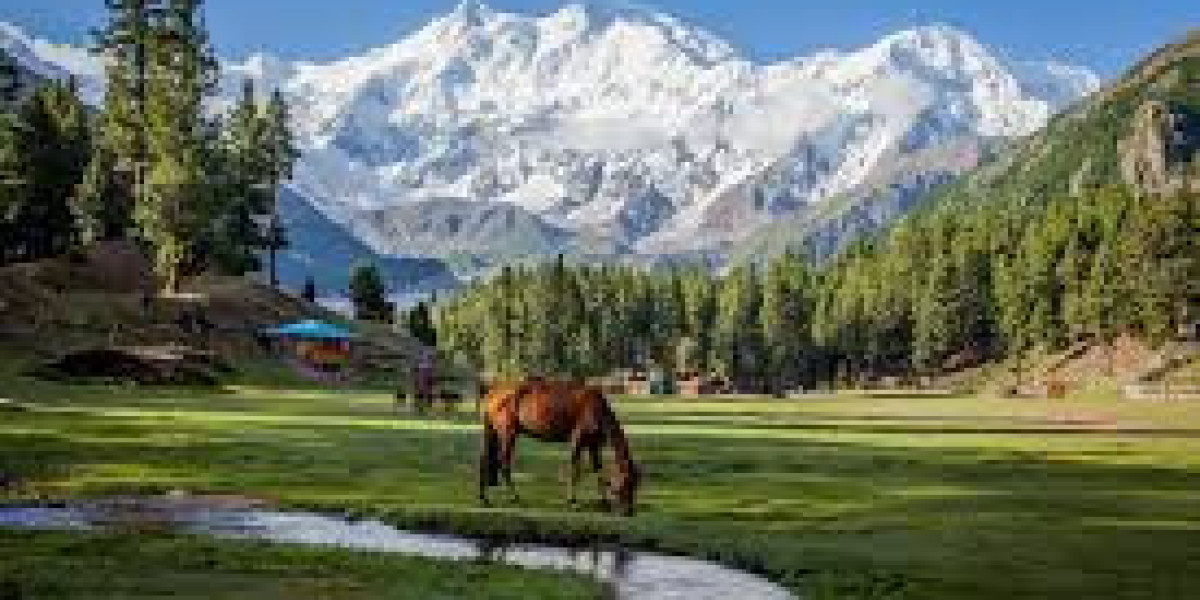 A Fairy Tale Come True: Exploring Fairy Meadows, Pakistan