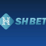 shbet 50biz Profile Picture