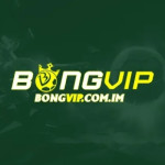 BONGVIP COM IM Profile Picture