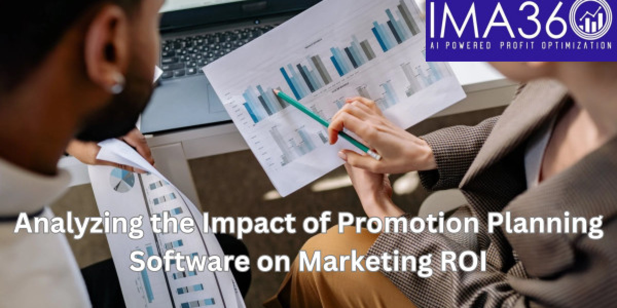 Analyzing the Impact of Promotion Planning Software on Marketing ROI