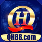 QH88 army Profile Picture