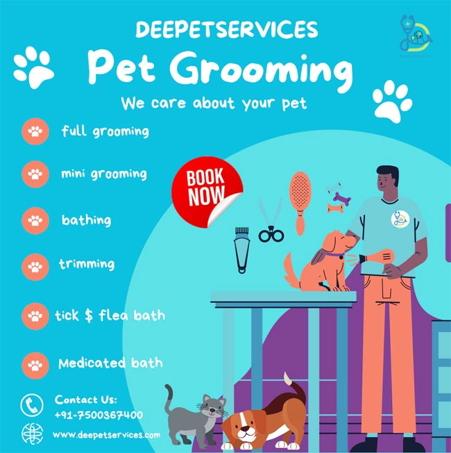 In Home Pet Grooming Services - Pet Groomers Close to Me