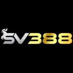 sv388rr Profile Picture