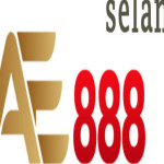 AE888 selanc Profile Picture