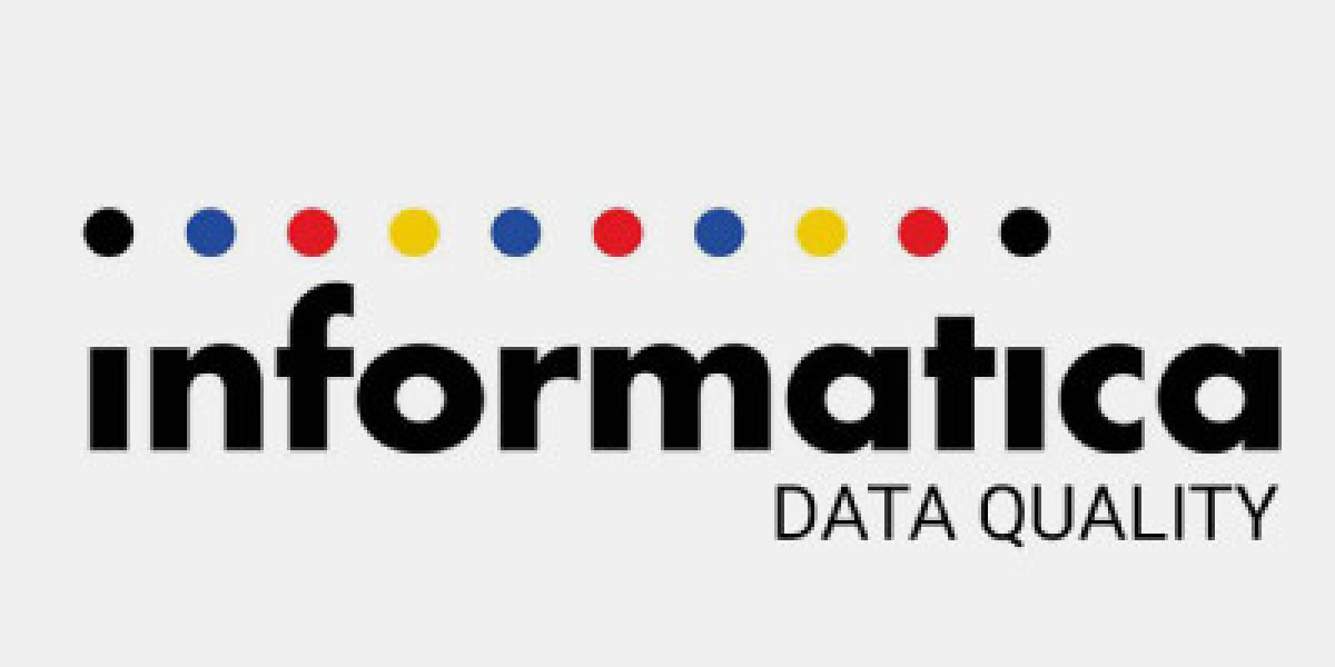 Addressing Common Challenges in MDM with Informatica Data Quality Tools