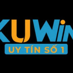 kuwincom life Profile Picture