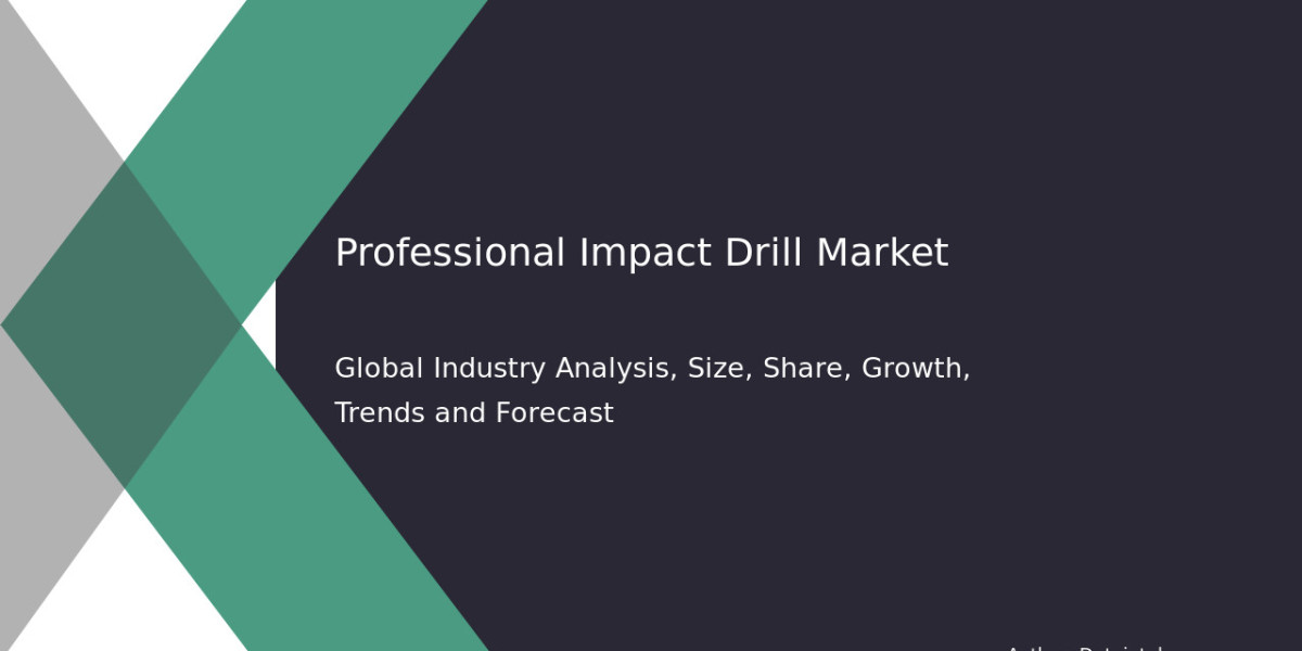 Market Trends and Forecast for Professional Impact Drills 2032