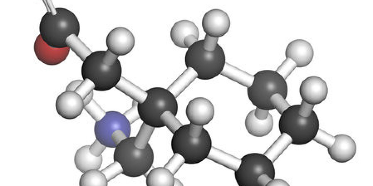 Global Gabapentin Market Size, Share, Analysis and Forecast 2023 - 2033