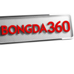 BONGDA360 Profile Picture