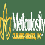 Meticulosity Cleaning Profile Picture