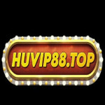 Huvip 88top Profile Picture