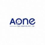 AONE SEO Service Profile Picture