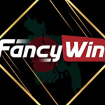 fancywin tech Profile Picture