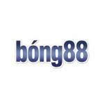 BONG88 land Profile Picture