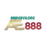 AE888 Margbva Profile Picture