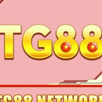 TG88 TG88 Profile Picture