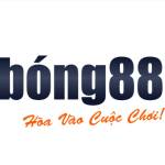 BONG88 Casino Profile Picture