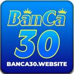 Banca30 website Profile Picture