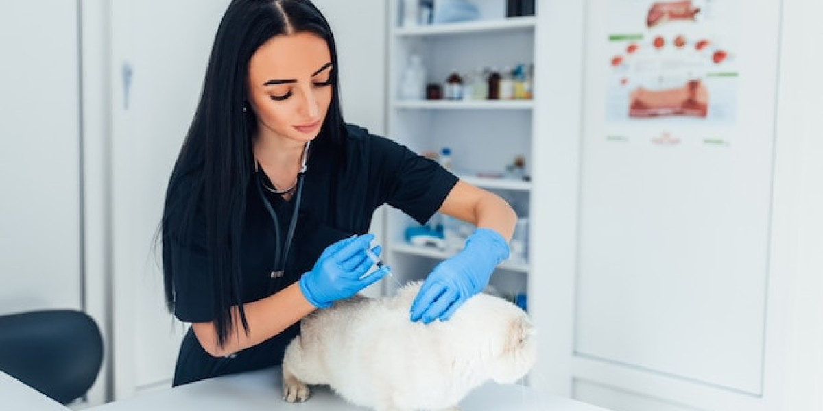 Comprehensive Guide to Veterinary Care in Qatar: Ensuring Your Pet’s Health and Happiness