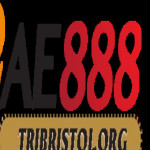 AE888 tribristol Profile Picture