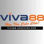 Viva88 Link Vào Viva88 Chuẩn Profile Picture