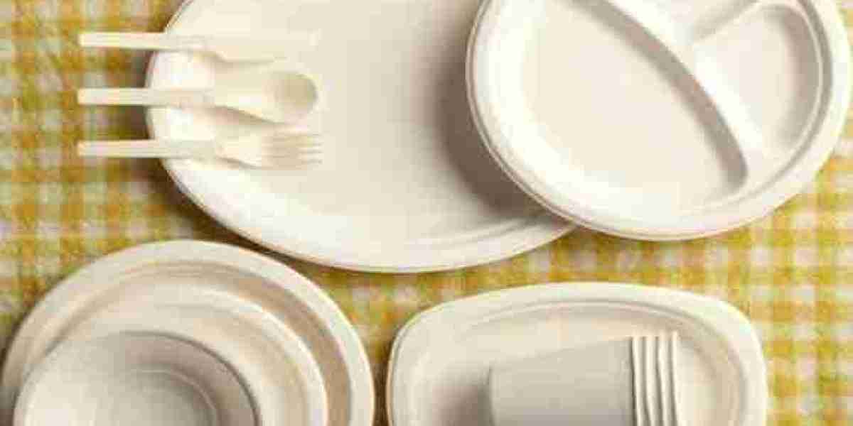 6 Reasons to Switch to Bagasse Tableware Today