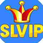 Slvip Profile Picture