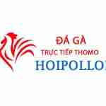 Đá Gà Trực Tiếp Thomo Profile Picture