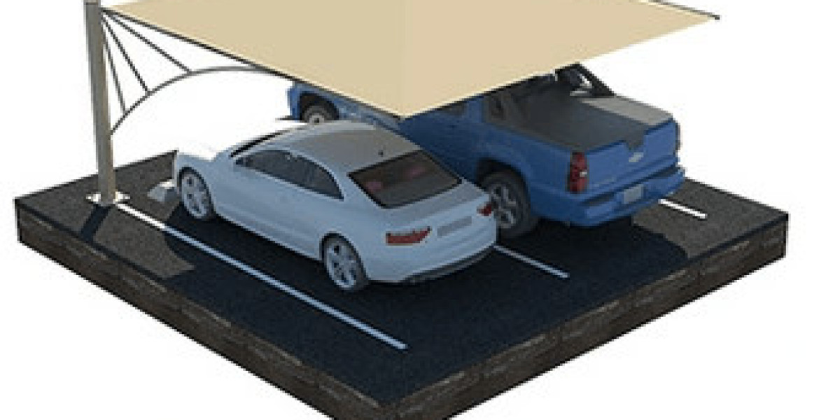 Customizable Car Parking Shades: Tailoring Solutions to Your Needs