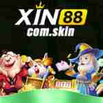 xin88 xin88 Profile Picture