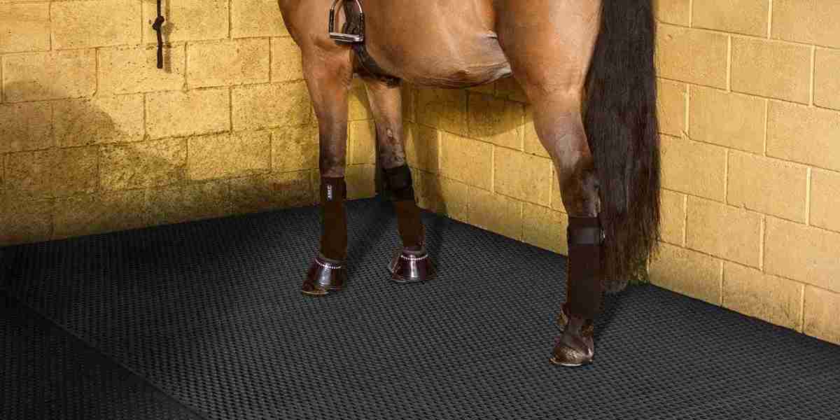 8 Ways Horse Rubber Mats Improve Equine Comfort