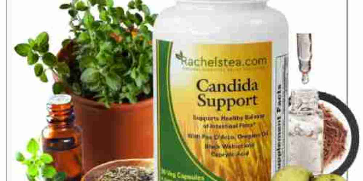 Effective Candida Support and the Role of Candida Pills in Gut Health