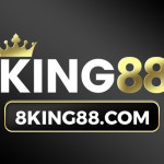 8KING88 com Profile Picture