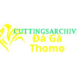 Đá Gà Trực Tiếp Thomo Profile Picture