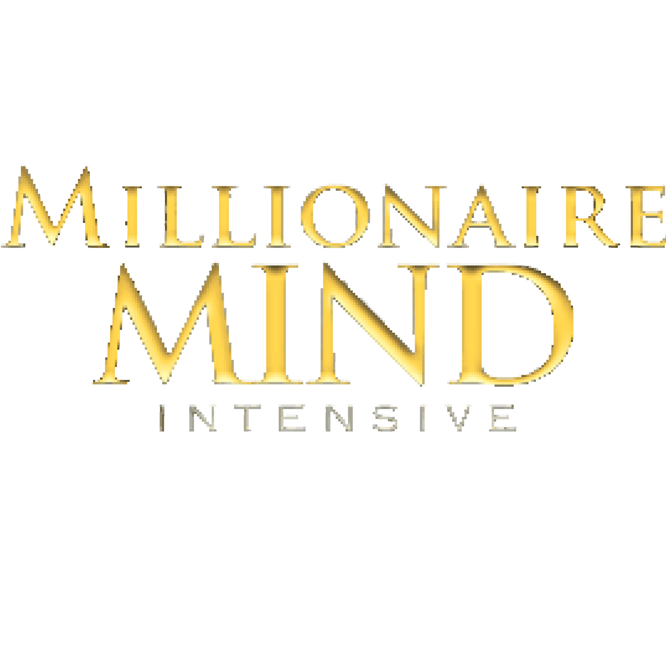 Millionaire Mind Intensive for Financial Freedom