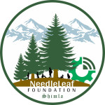 Needleleaf Foundation Profile Picture