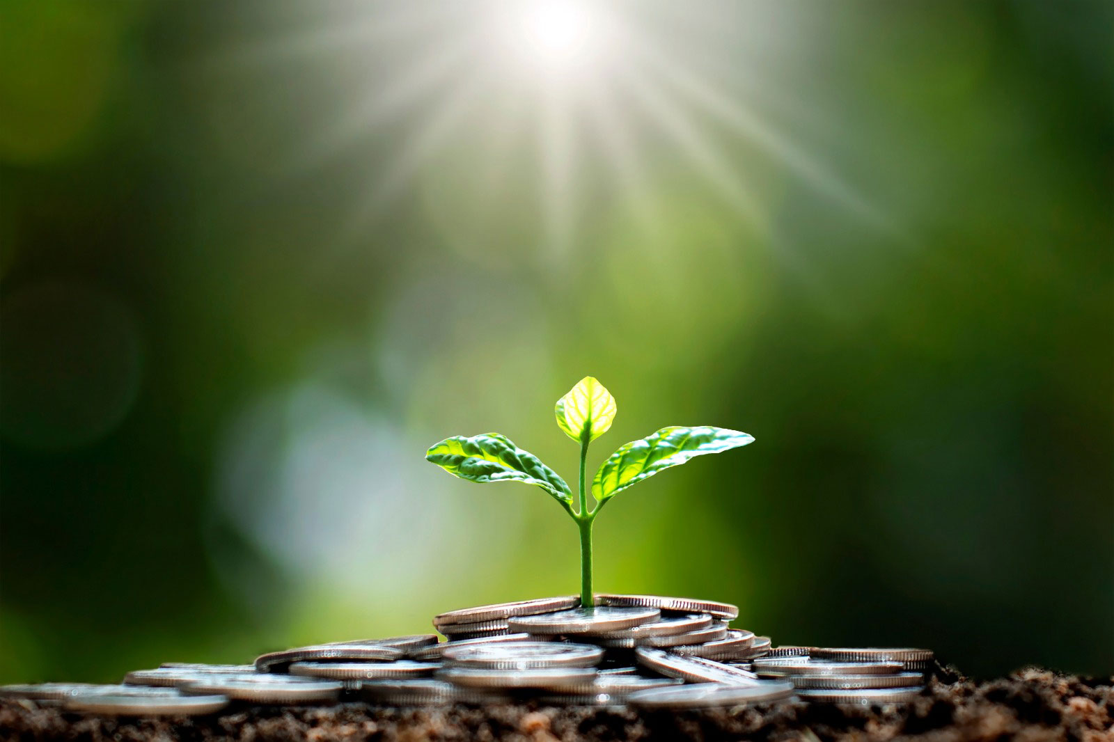 Sewage Treatment Plant in Delhi | STP Service