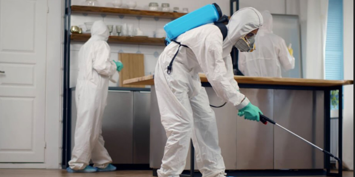 Professional Pest Control Services in Canada