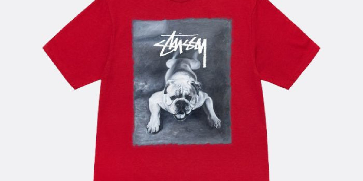 Stussy outfits people choose for casual wear