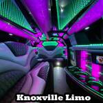 Knoxville Limo profile picture