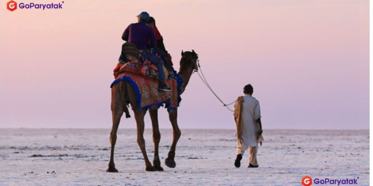 Rann Utsav Tour Packages – Complete Travel Guide to Kutch White Rann Festival