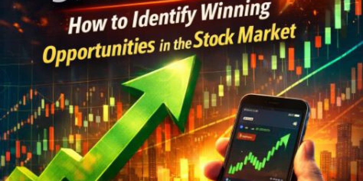 Hot Stocks Today: How to Spot Winning Opportunities in the Market