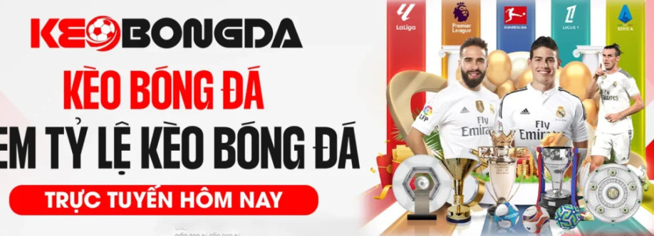 Soikeo jp net Cover Image