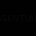 Essentials Hoodie Profile Picture