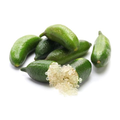 Premium Finger Limes – Fresh Citrus Pearls from Lebanon