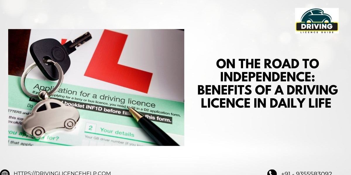On the Road to Independence: Benefits of a Driving Licence in Daily Life