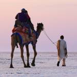 pankaj Shinde profile picture