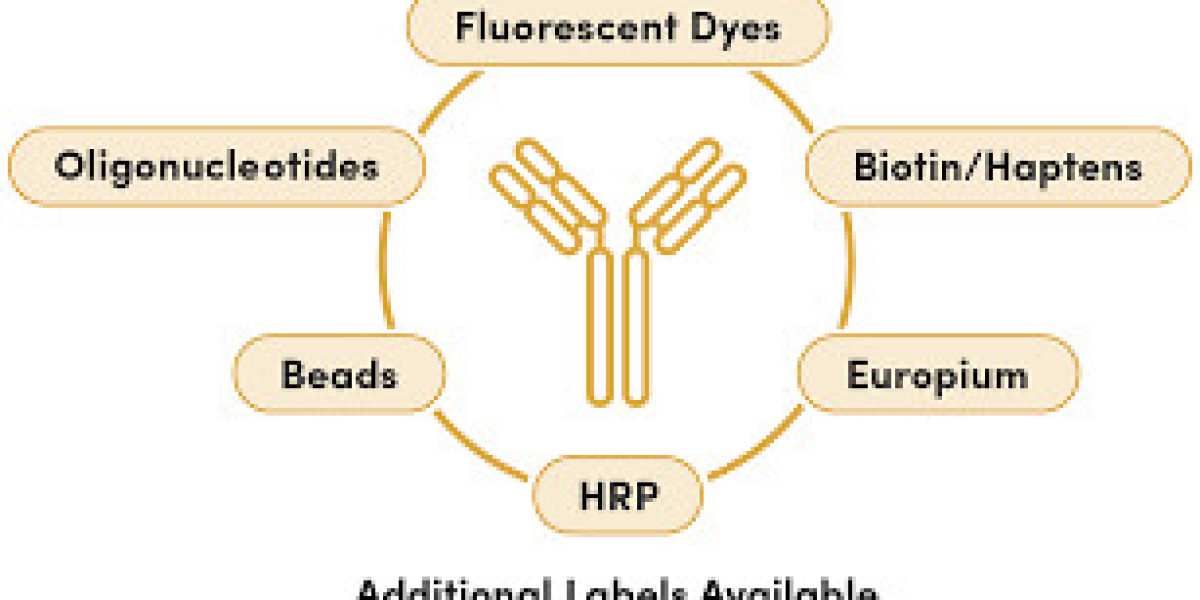 Global Conjugation Labeling Service Market Set for Strong Growth Through 2033 with Rising Demand Across Diagnostics &amp