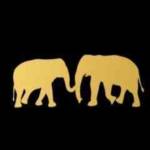 Dreamy Destinations Profile Picture